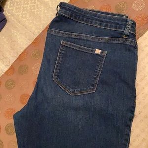 Jennifer Lopez Jeans